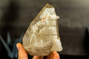White Lodolite Crystal Point with Bridge Inclusions, AKA Garden Quartz