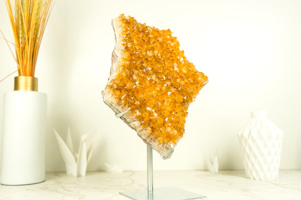 Citrine Crystal with Shiny Golden Yellow Citrine Druzy on Display