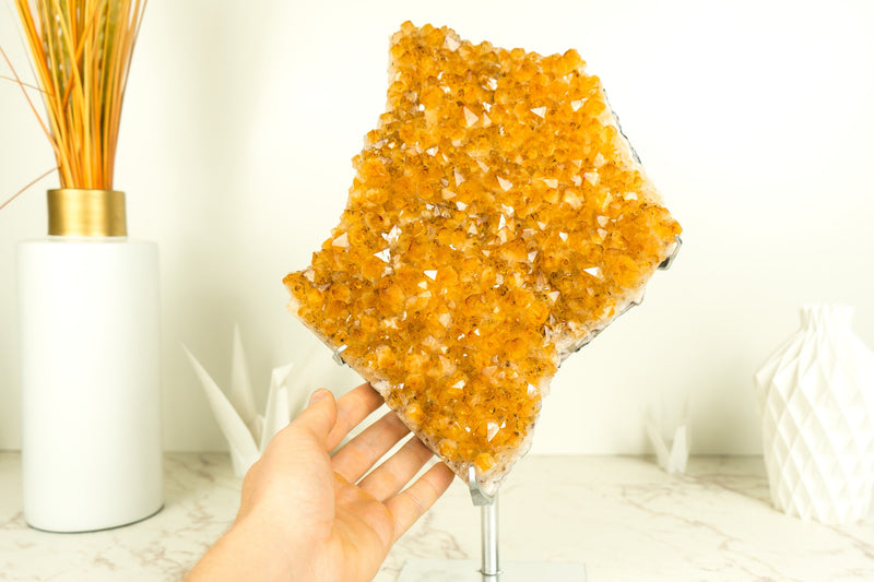 Citrine Crystal with Shiny Golden Yellow Citrine Druzy on Display