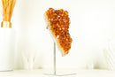 Deep Orange/Red Citrine Cluster (AKA Madeira Citrine) with Flower Rosette