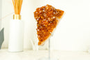 Deep Orange/Red Citrine Cluster (AKA Madeira Citrine) with Flower Rosette