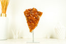 Deep Orange/Red Citrine Cluster (AKA Madeira Citrine) with Flower Rosette