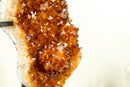 Orange/Reddish Madeira Citrine Cluster with Rare Blooming Flower Rosette - E2D Crystals & Minerals