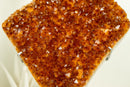 AAA Orange/Reddish Wood Citrine Cluster - 3.8 Kg - 8.4 lb - E2D Crystals & Minerals