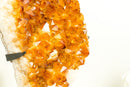 Epic Natural Citrine Cluster with Super Extra, Golden Orange Citrine Crystal Druzy - 29 Lb 17 Inches - E2D Crystals & Minerals