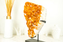 Epic Natural Citrine Cluster with Super Extra, Golden Orange Citrine Crystal Druzy - 29 Lb 17 Inches - E2D Crystals & Minerals