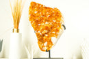 Epic Natural Citrine Cluster with Super Extra, Golden Orange Citrine Crystal Druzy - 29 Lb 17 Inches - E2D Crystals & Minerals
