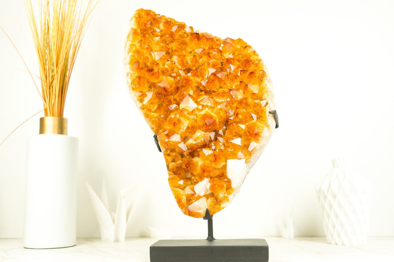Epic Natural Citrine Cluster with Super Extra, Golden Orange Citrine Crystal Druzy - 29 Lb 17 Inches - E2D Crystals & Minerals