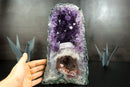 Super Rare Double-Chamber Amethyst Geode with Half Pink Quartz Druzy, Half Deep Purple Amethyst,