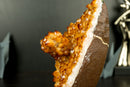 Citrine Cluster with a Rare Flower Stalactite Formation for Display, AAA Deep Orange Citrine Color, Raw and Ethical