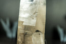 All-Natural Rare Lemurian Seed Crystal Cluster with Gray Dreamcoat Lithium Phantom - 8 In - 3.0 lb