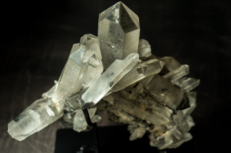 Lemurianischer Saatkristall-Cluster in Galeriequalität mit grauem Dreamcoat-Lithium-Phantom, ganz natürlich – 9,5 Zoll, 5,6 Pfund