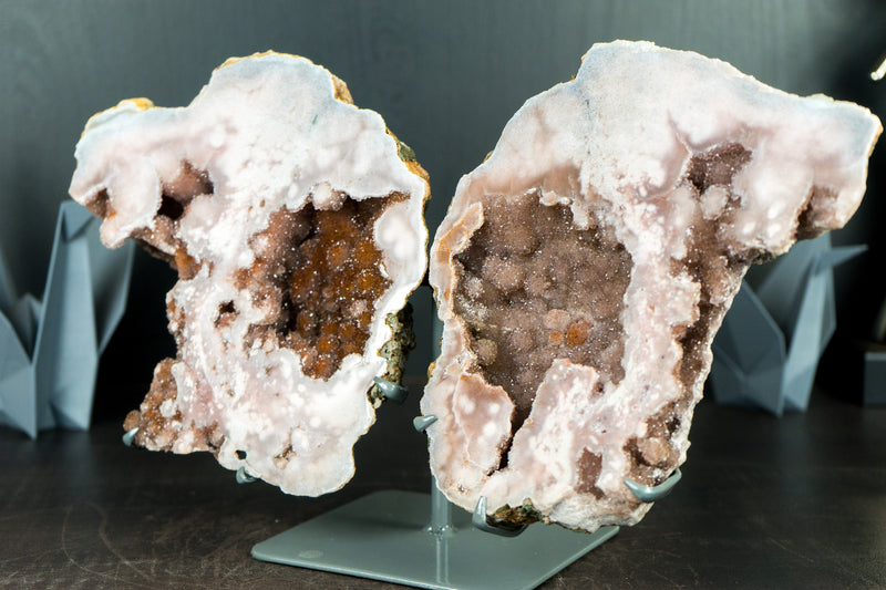 أحجار الجيود الوردية من فئة Gallery Grade مع أحجار الجيود الحمراء والوردية من فئة Galaxy Amethyst Druzy، أجنحة الفراشة الطبيعية بالكامل