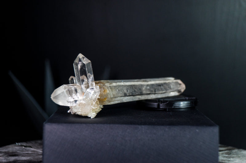 Wasserklarer Laserquarzkristall mit zwei Enden in Galeriequalität von Diamantina, intakt, 112 g, 6,2 Zoll
