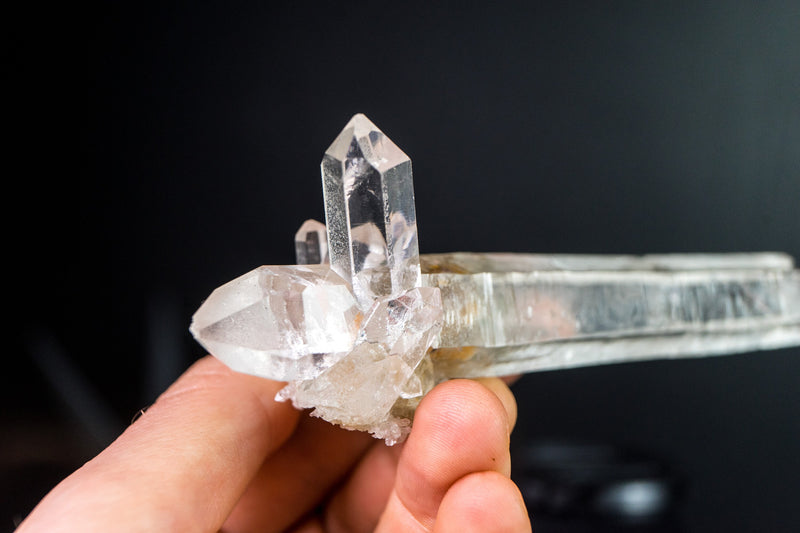 Wasserklarer Laserquarzkristall mit zwei Enden in Galeriequalität von Diamantina, intakt, 112 g, 6,2 Zoll