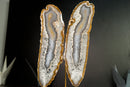 Natural Undyed Agate Butterfly on Custom-Made Stand, Rare and High-Grade Agate