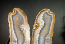 Natural Undyed Agate Butterfly on Custom-Made Stand, Rare and High-Grade Agate