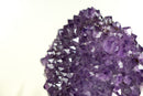 Glänzender Amethyst-Blütenhaufen mit funkelnden violetten Amethyst-Drusen und goldenen Goethit-Einschlüssen auf Ständer – 4,0 kg – 8,7 lb
