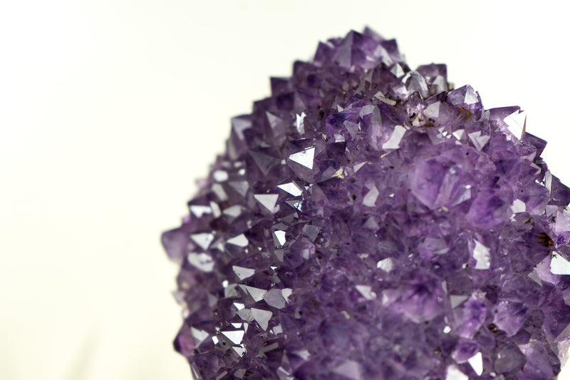 Shiny Amethyst Flower Cluster with Sparkly Purple Amethyst Druzy and Golden Goethite Inclusions on Stand - 4.0 Kg - 8.7 lb