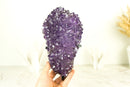 Glänzender Amethyst-Blütenhaufen mit funkelnden violetten Amethyst-Drusen und goldenen Goethit-Einschlüssen auf Ständer – 4,0 kg – 8,7 lb