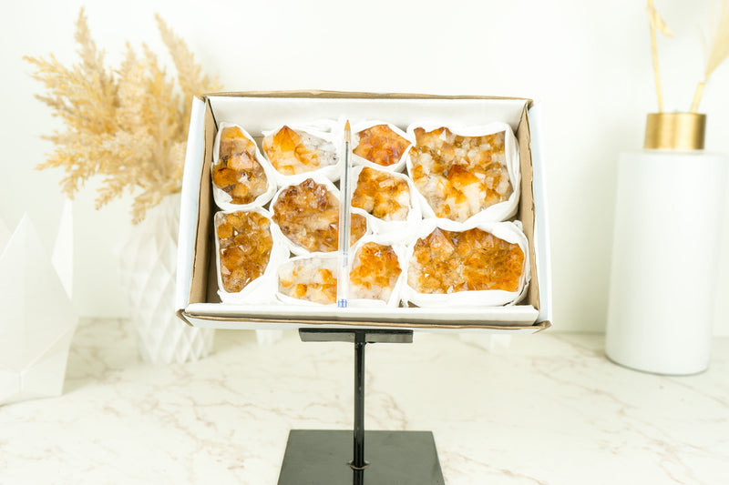 Wholesale Set of 6 Citrine Clusters, Super Extra Grade, Small, Deep Orange Citrine - 1.3 Kg - 2.9 lb