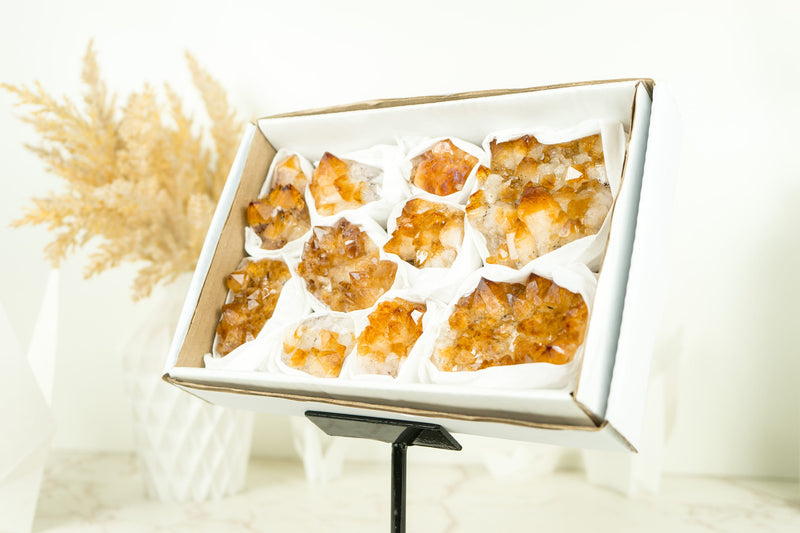 Wholesale Set of 6 Citrine Clusters, Super Extra Grade, Small, Deep Orange Citrine - 1.3 Kg - 2.9 lb