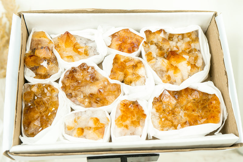 Wholesale Set of 6 Citrine Clusters, Super Extra Grade, Small, Deep Orange Citrine - 1.3 Kg - 2.9 lb