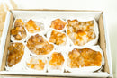 Wholesale Set of 6 Citrine Clusters, Super Extra Grade, Small, Deep Orange Citrine - 1.3 Kg - 2.9 lb