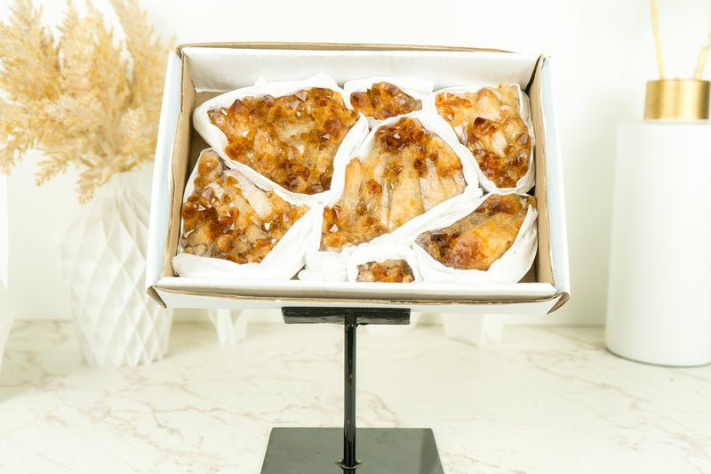 Set of 7 Citrine Clusters of Super Extra Grade, Wholesale Flat Box, Small, Deep Orange Citrine Druzy - 7 Clusters, 1230g - 2.7 lb - E2D Crystals & Minerals