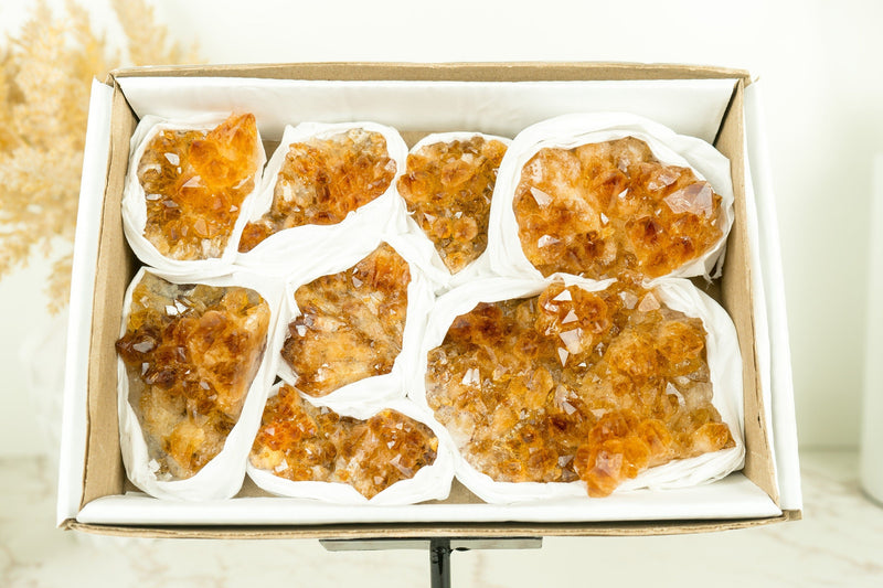 Set of 8 Citrine Clusters of Super Extra Grade, Wholesale Flat Box, Small, Deep Orange Citrine Druzy, 1230g - 2.7 lb - E2D Crystals & Minerals