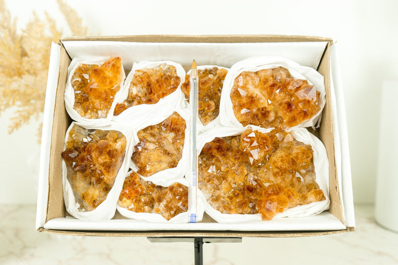 Set of 8 Citrine Clusters of Super Extra Grade, Wholesale Flat Box, Small, Deep Orange Citrine Druzy, 1230g - 2.7 lb - E2D Crystals & Minerals