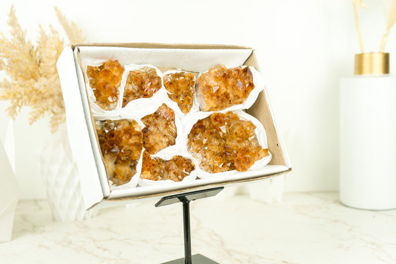 Set of 8 Citrine Clusters of Super Extra Grade, Wholesale Flat Box, Small, Deep Orange Citrine Druzy, 1230g - 2.7 lb - E2D Crystals & Minerals