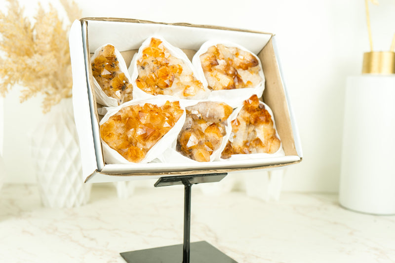 Set of 6 Citrine Clusters of Super Extra Grade, Wholesale Flat Box, Small, Deep Orange Citrine Druzy - 1380g - 3.0 lb