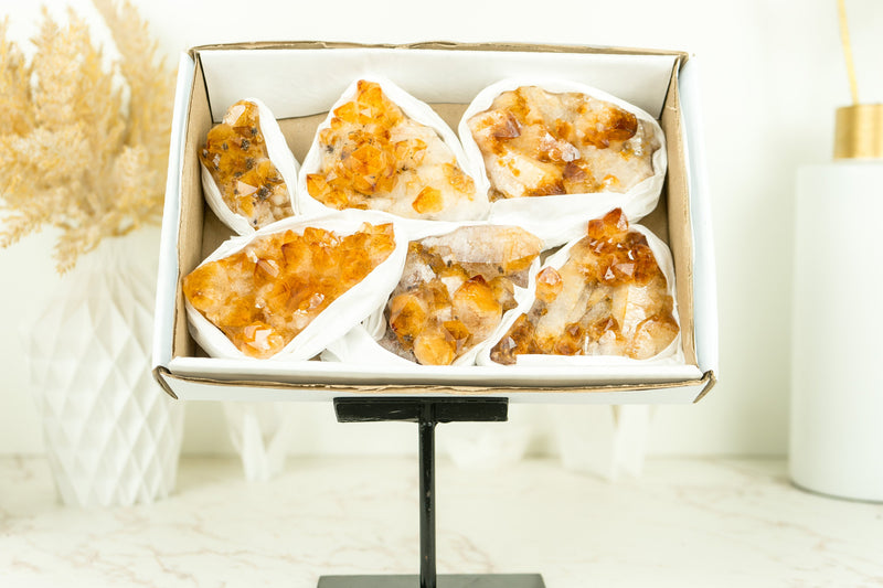 Set of 6 Citrine Clusters of Super Extra Grade, Wholesale Flat Box, Small, Deep Orange Citrine Druzy - 1380g - 3.0 lb