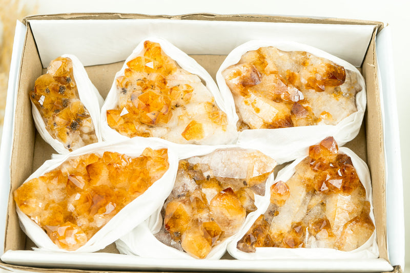 Set of 6 Citrine Clusters of Super Extra Grade, Wholesale Flat Box, Small, Deep Orange Citrine Druzy - 1380g - 3.0 lb