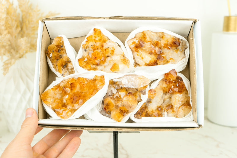 Set of 6 Citrine Clusters of Super Extra Grade, Wholesale Flat Box, Small, Deep Orange Citrine Druzy - 1380g - 3.0 lb