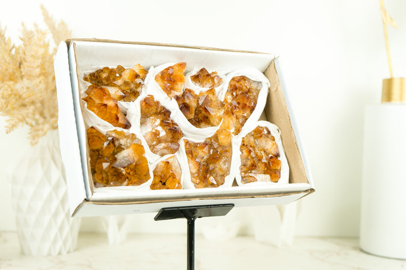 Wholesale Madeira Citrine Clusters Flat Box - Madeia Color Citrine, Wholesale Bulk - 11 Clusters, 1300g - 2.9 lb