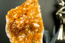Citrine Cluster with a Rare Flower Stalactite Formation for Display, AAA Deep Orange Citrine Color, Raw and Ethical