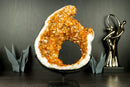 Rare Citrine Geode Portal Slice with Flower Stalactites