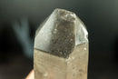 All-Natural Rare Lemurian Seed Crystal Cluster with Gray Dreamcoat Lithium Phantom - 8 In - 3.0 lb