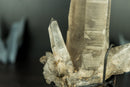 All-Natural Rare Lemurian Seed Crystal Cluster with Gray Dreamcoat Lithium Phantom - 8 In - 3.0 lb