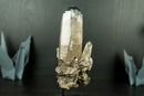 All-Natural Rare Lemurian Seed Crystal Cluster with Gray Dreamcoat Lithium Phantom - 8 In - 3.0 lb