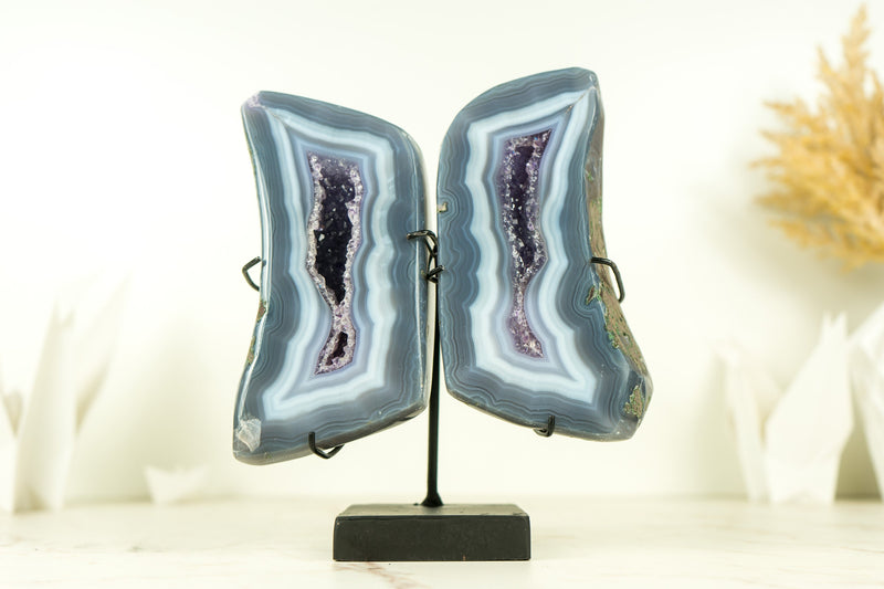 Small Polished Blue Lace Agate Geode Wings with Purple Amethyst and Landscaped Back, On Stand -