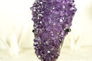 Glänzender Amethyst-Blütenhaufen mit funkelnden violetten Amethyst-Drusen und goldenen Goethit-Einschlüssen auf Ständer – 4,0 kg – 8,7 lb