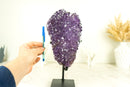 Glänzender Amethyst-Blütenhaufen mit funkelnden violetten Amethyst-Drusen und goldenen Goethit-Einschlüssen auf Ständer – 4,0 kg – 8,7 lb