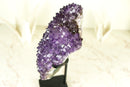 Glänzender Amethyst-Blütenhaufen mit funkelnden violetten Amethyst-Drusen und goldenen Goethit-Einschlüssen auf Ständer – 4,0 kg – 8,7 lb