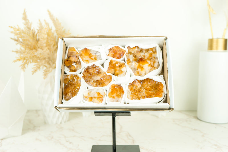 Wholesale Set of 6 Citrine Clusters, Super Extra Grade, Small, Deep Orange Citrine - 1.3 Kg - 2.9 lb