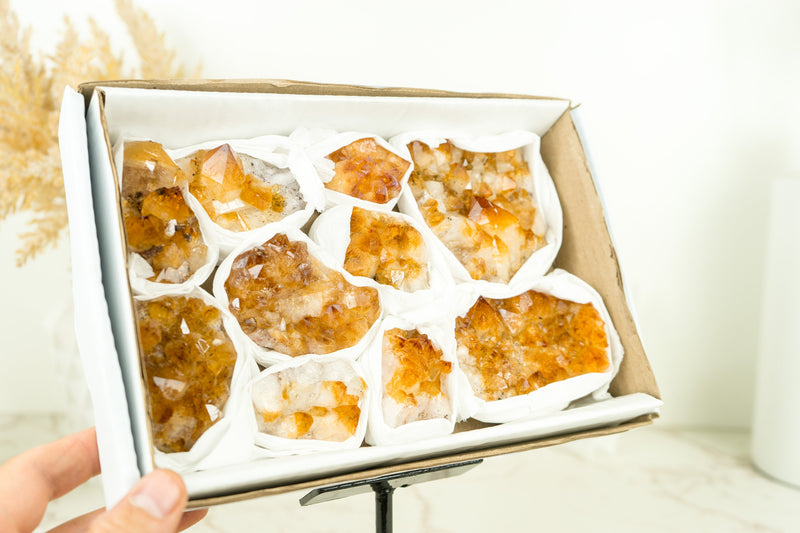 Wholesale Set of 6 Citrine Clusters, Super Extra Grade, Small, Deep Orange Citrine - 1.3 Kg - 2.9 lb