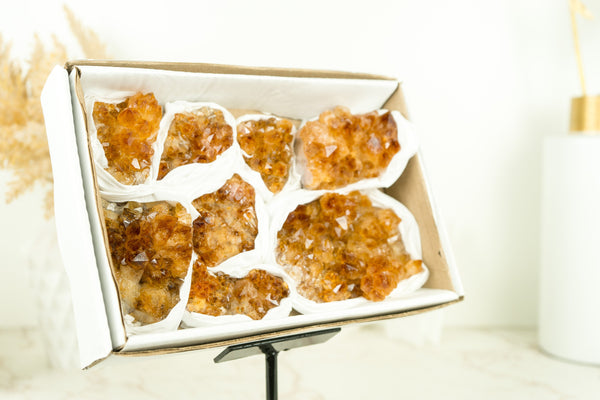 Set of 8 Citrine Clusters of Super Extra Grade, Wholesale Flat Box, Small, Deep Orange Citrine Druzy, 1230g - 2.7 lb - E2D Crystals & Minerals