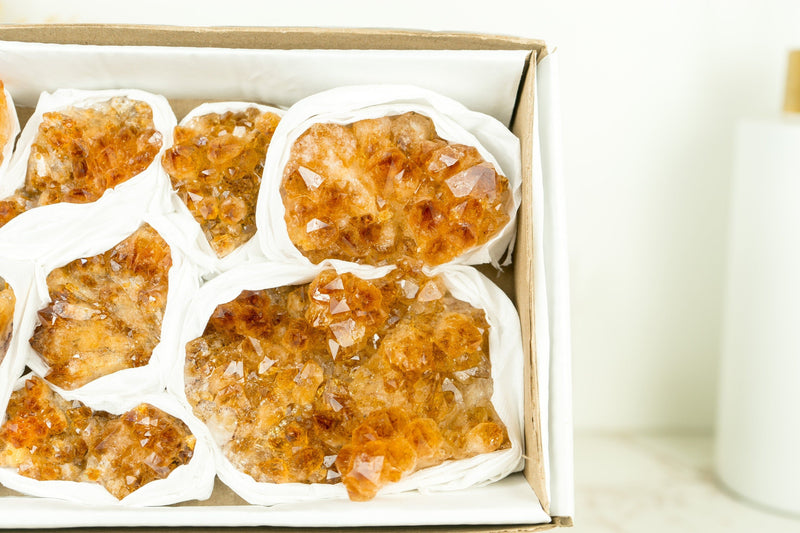 Set of 8 Citrine Clusters of Super Extra Grade, Wholesale Flat Box, Small, Deep Orange Citrine Druzy, 1230g - 2.7 lb - E2D Crystals & Minerals